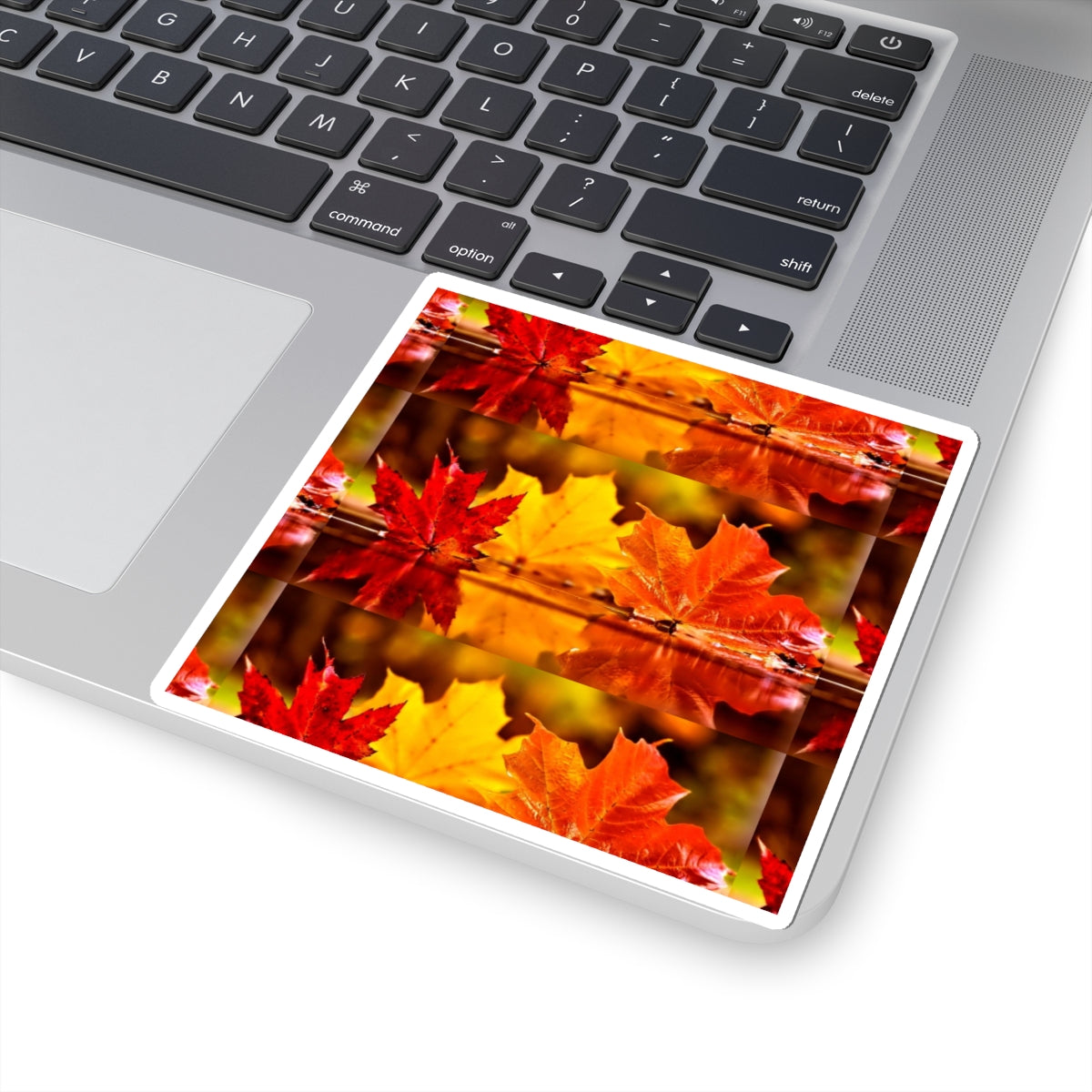Autumn Maple Leaves Kiss-Cut Sticker