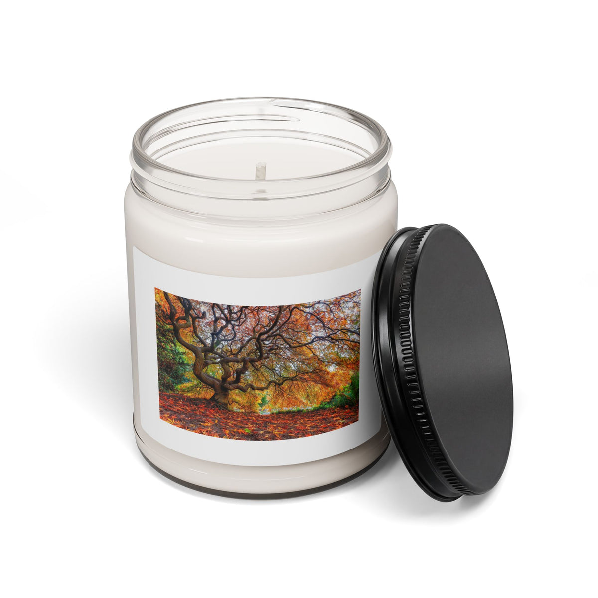 Autumn Woodland Scented Soy Candle — 9oz Fall Leaves Jar Candle