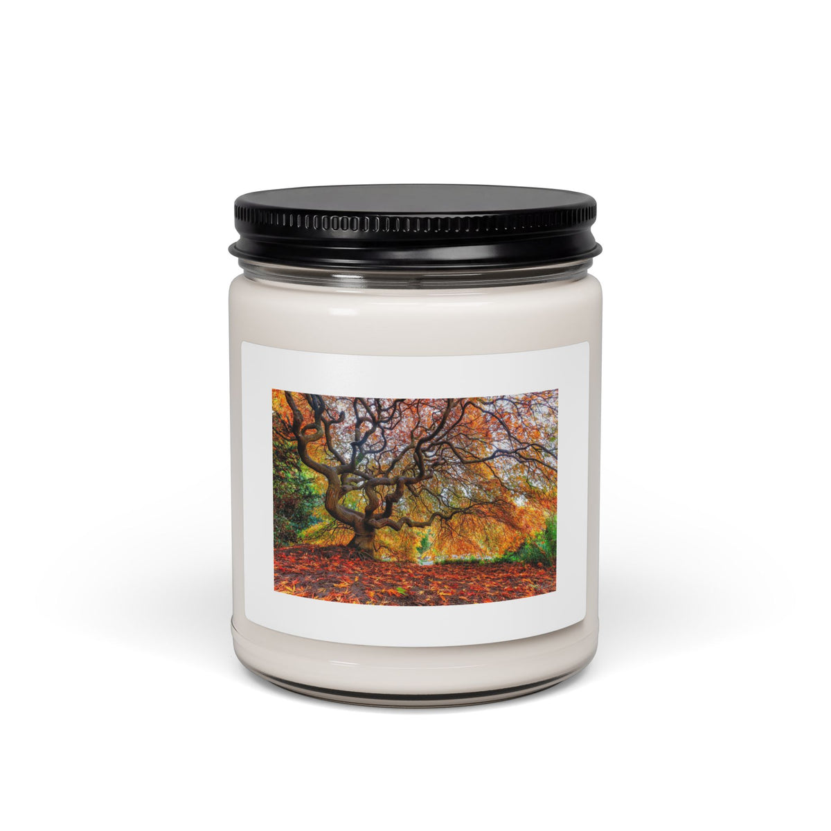 Autumn Woodland Scented Soy Candle — 9oz Fall Leaves Jar Candle