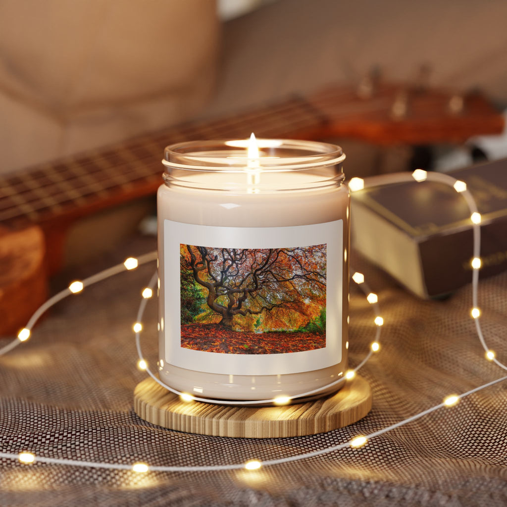 Autumn Woodland Scented Soy Candle — 9oz Fall Leaves Jar Candle